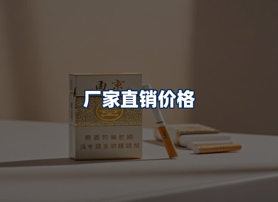 专业团队办公环境